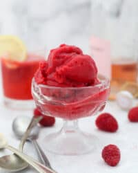 A small glass ice cream dish with raspberry sorbet