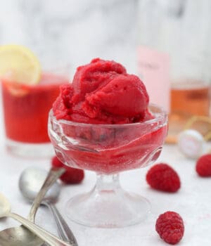 A small glass ice cream dish with raspberry sorbet