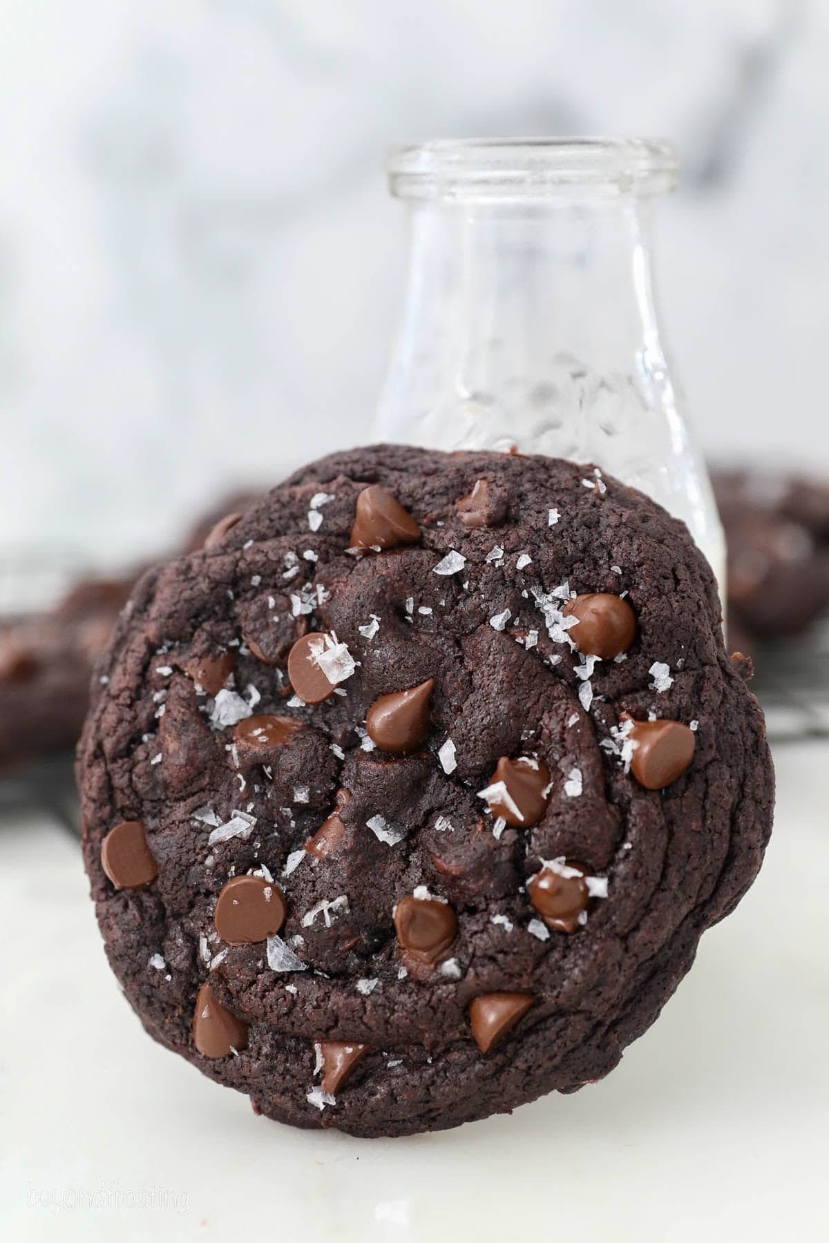 Dark Chocolate Cookies {Chewy and Decadent!} –