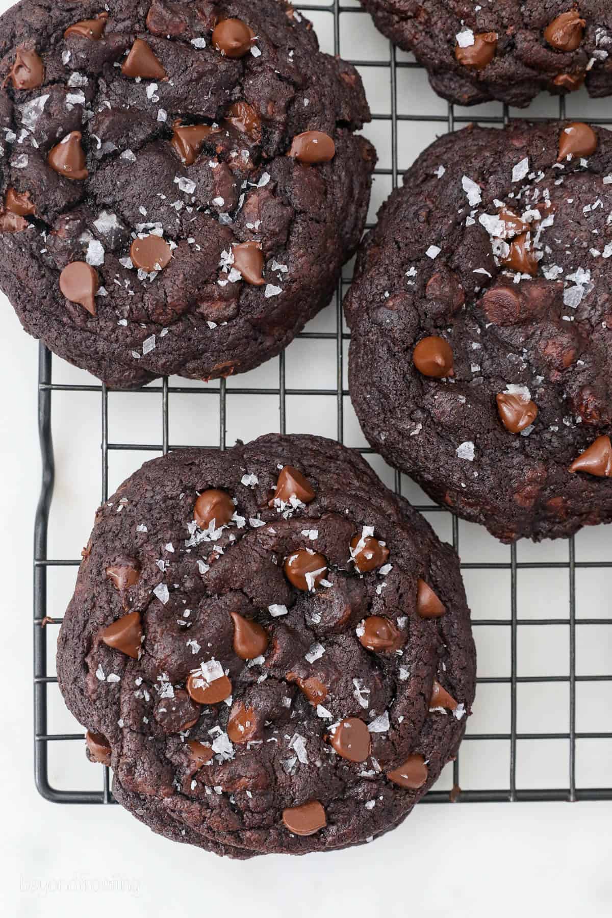 Overhead view of chocolate cookies topped with flaked sea salt on a wire rack.