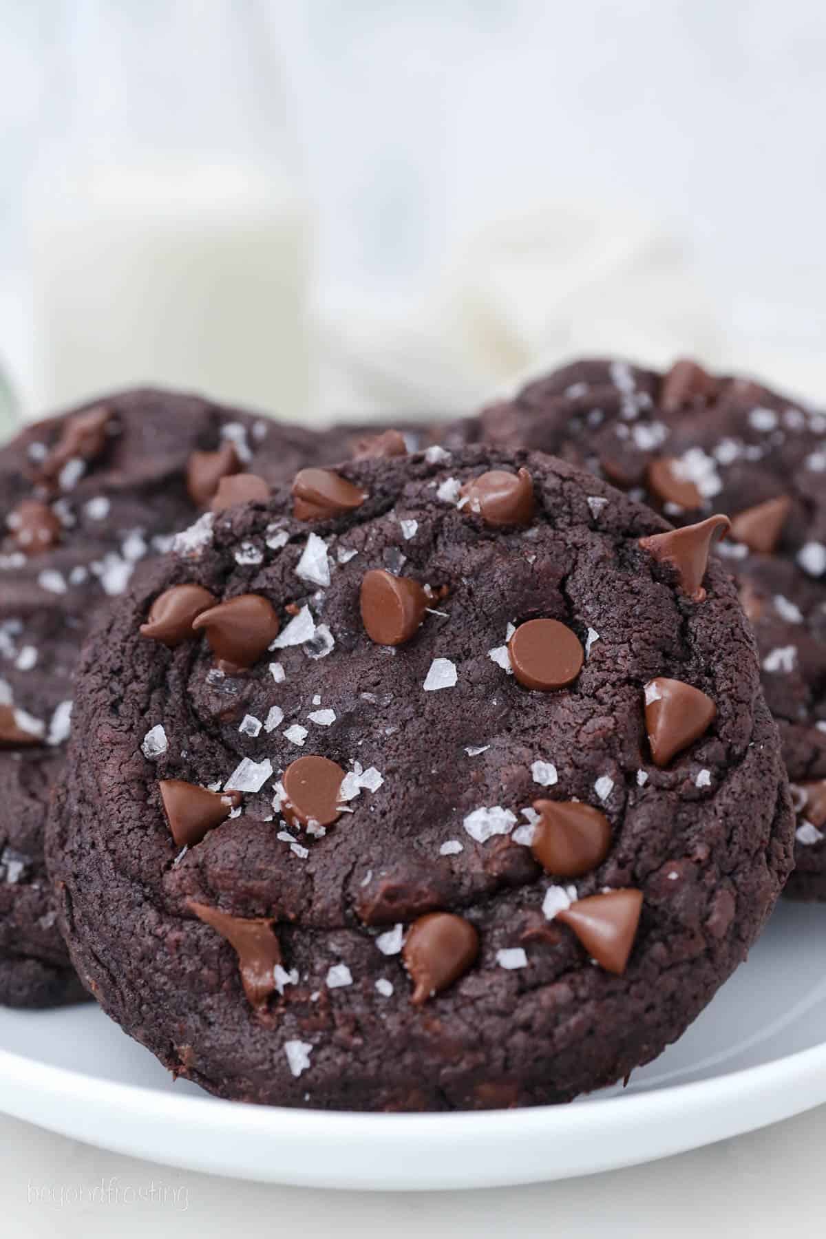 Giant chocolate cookies topped with flaked seas salt on a white plate.