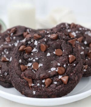 A close up of a white plate with large chocolate chocolate chip cookies