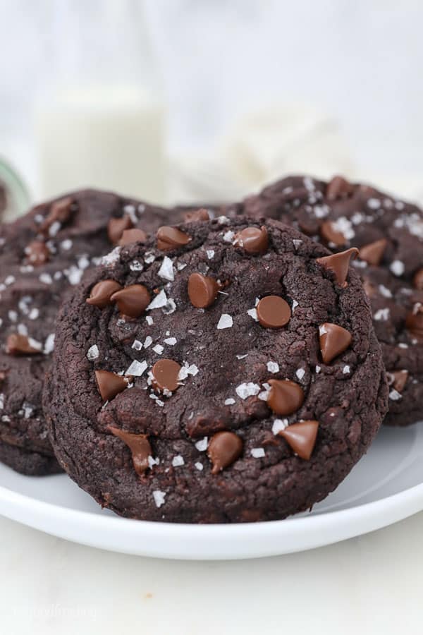 A close up of a white plate with large chocolate chocolate chip cookies
