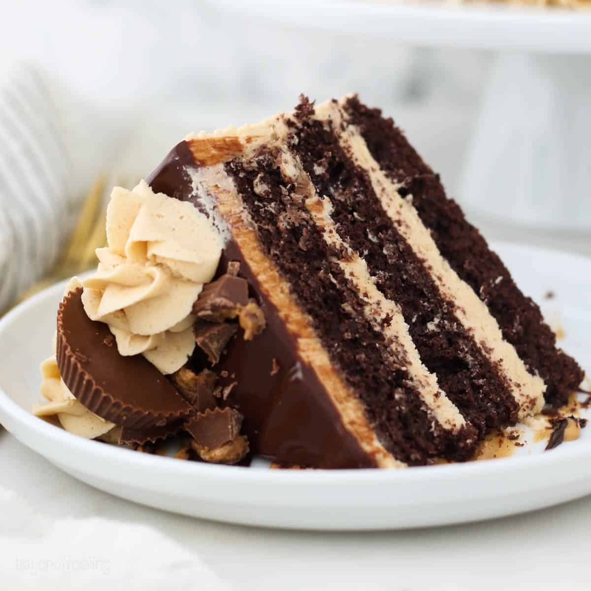 A slice of frosted chocolate peanut butter cake on a white plate.