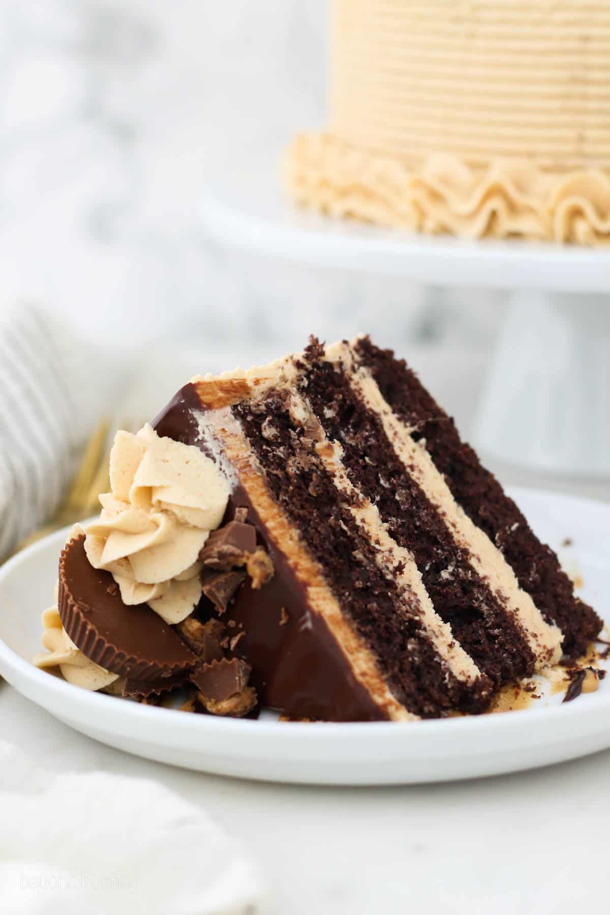 A slice of frosted chocolate peanut butter cake on a white plate, with the remaining cake on a cake stand in the background.
