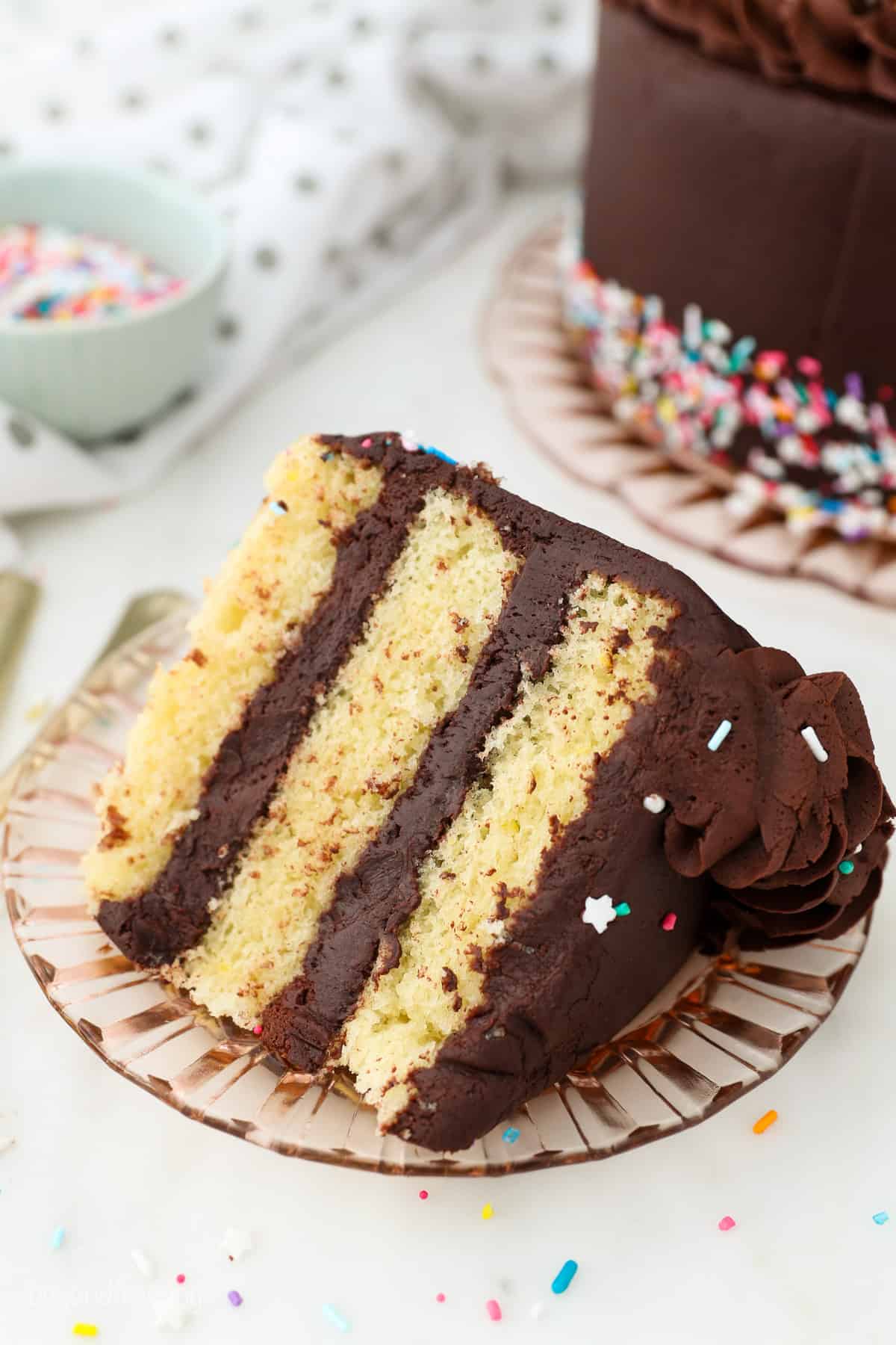 A slice of yellow layer cake with chocolate frosting on a plate, next to the rest of the cake in the background.