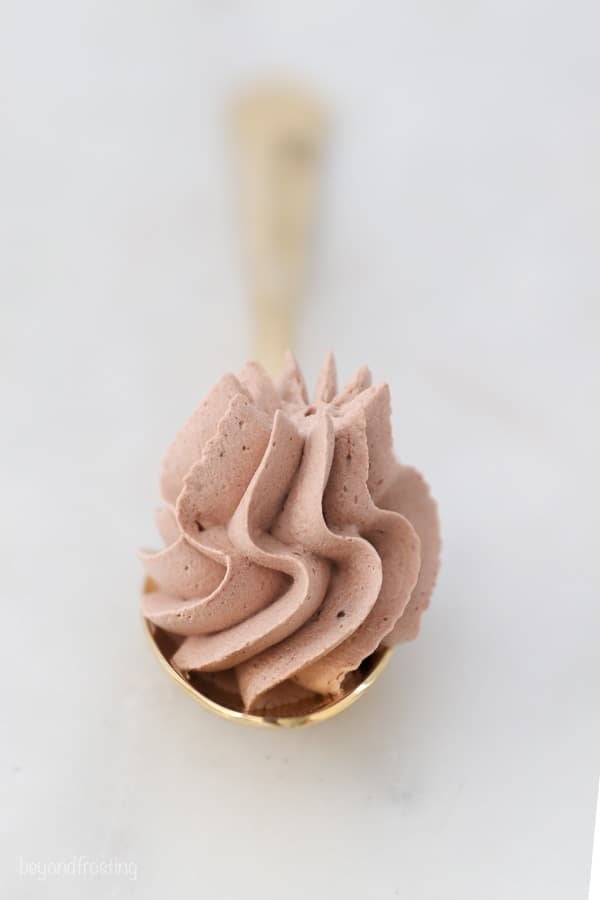 An overhead view of a gold spoon with a dollop of chocolate whipped cream