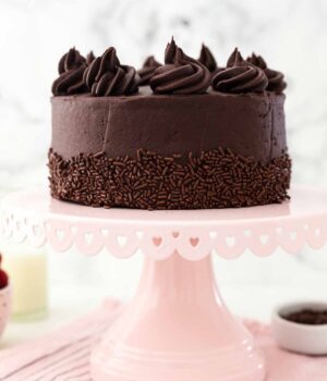 A Small Frosted and Decorated Chocolate Cake on Top of a Pink Cake Stand