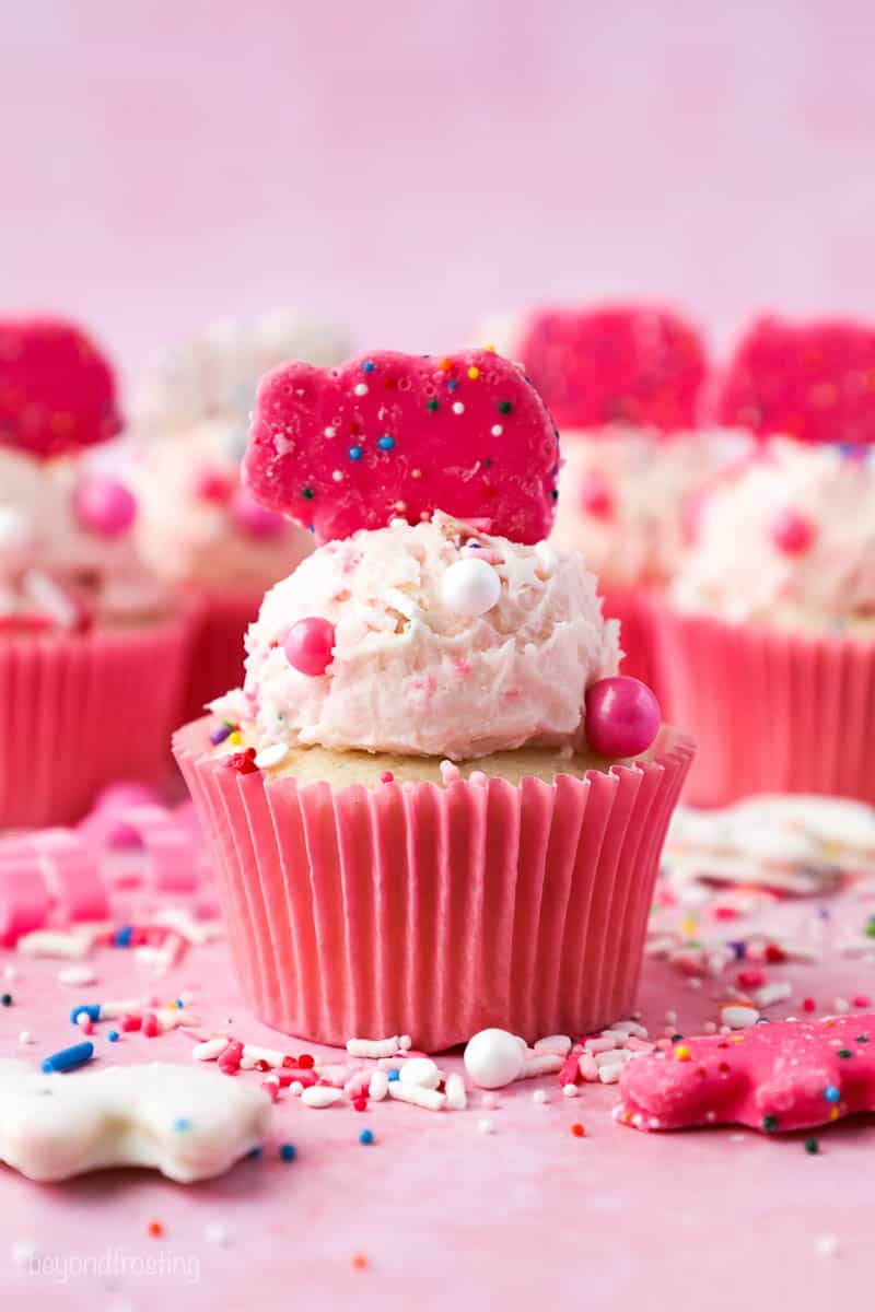 Creamy Circus Animal Funfetti Frosting Recipe | Beyond Frosting