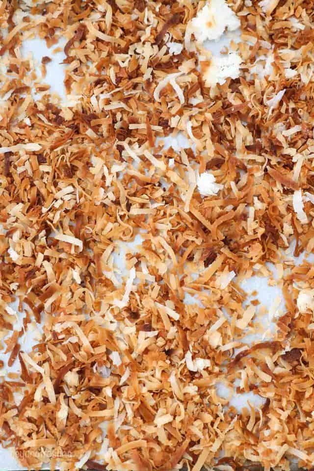 a close up shot of toasted coconut
