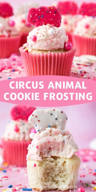 Two images of Circus Animal cookie cupcake, one wrapped and one unwrapped with a text overlay