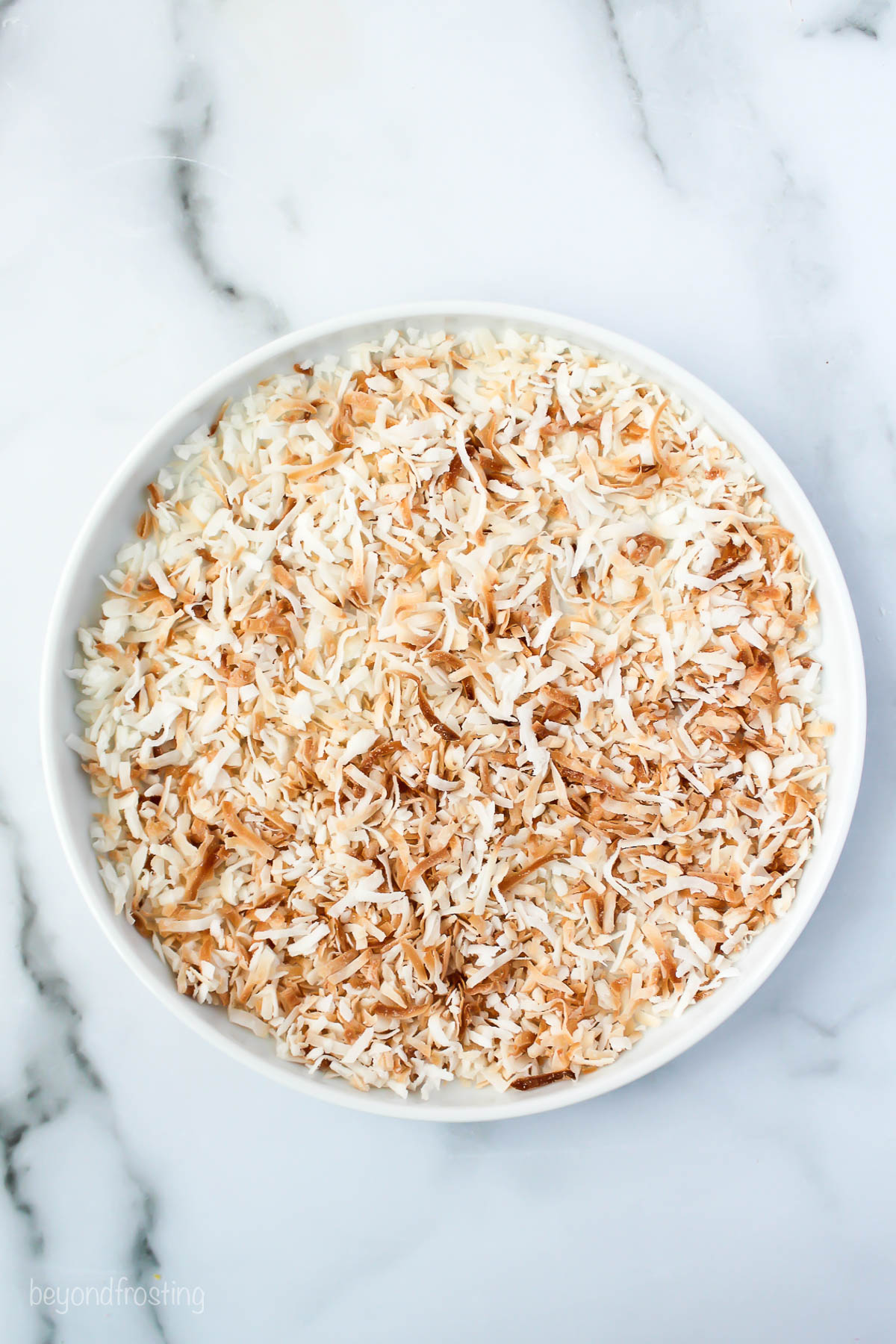 Toasted coconut flakes on a white plate