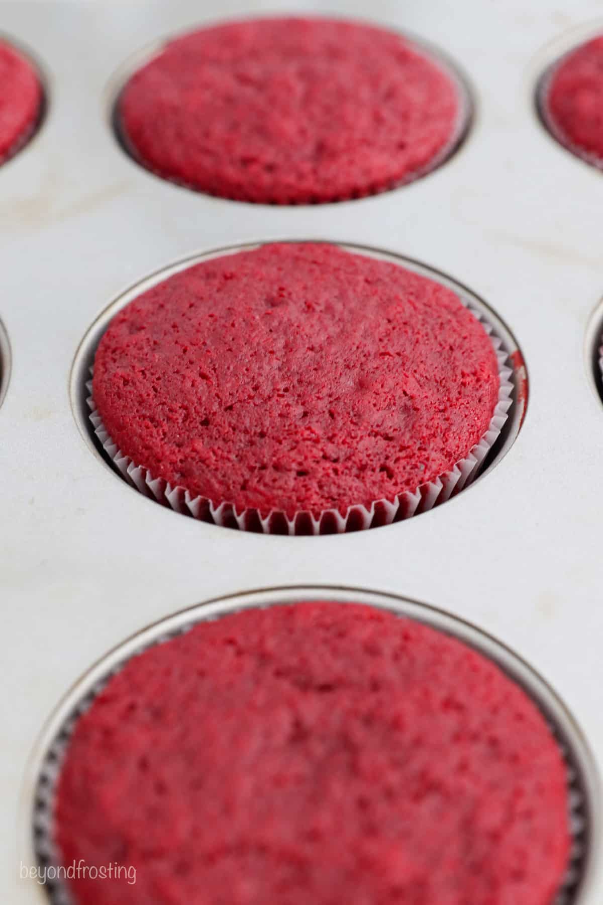 Close up of baked red velvet cupcakes in a cupcake pan.