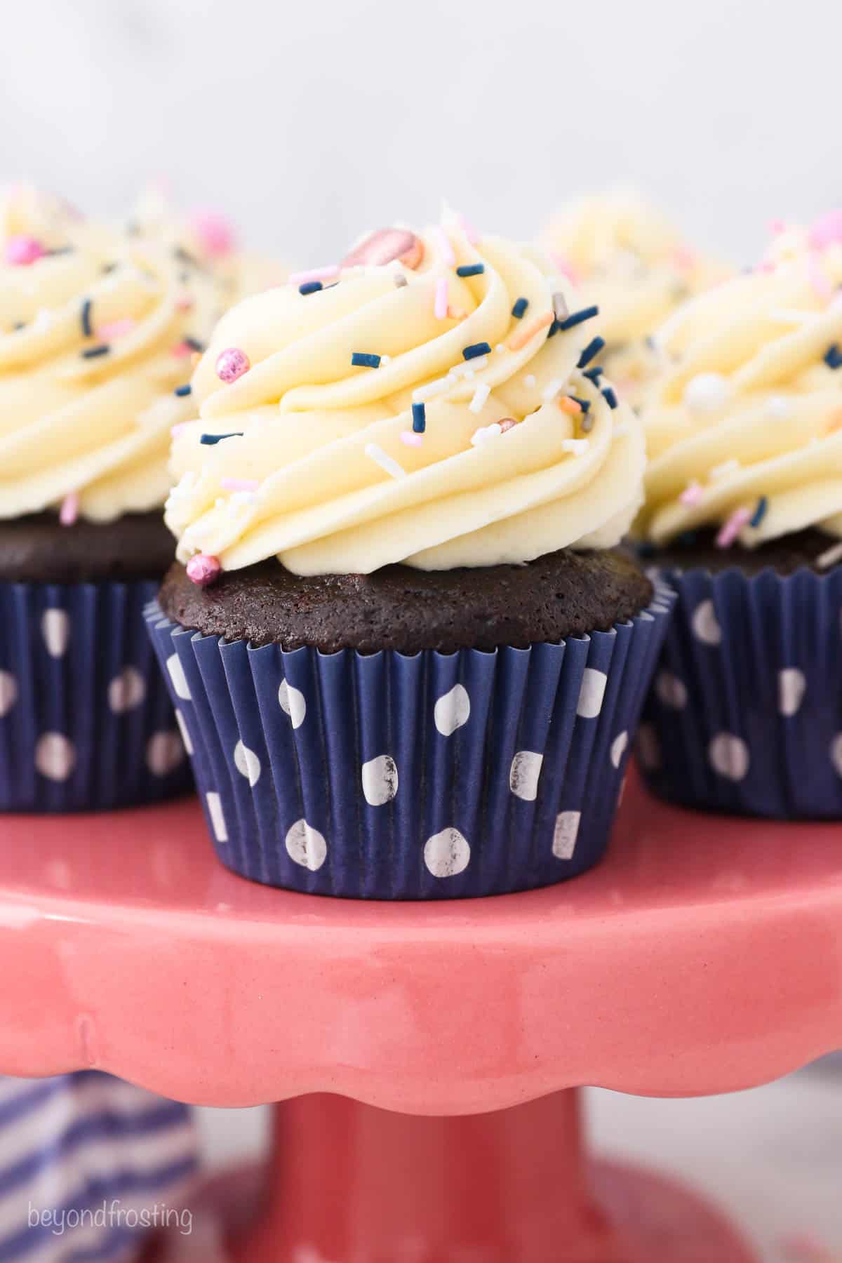 a chocolate cupcake in a navy polka dot liner with vanilla frosting and sprinkles