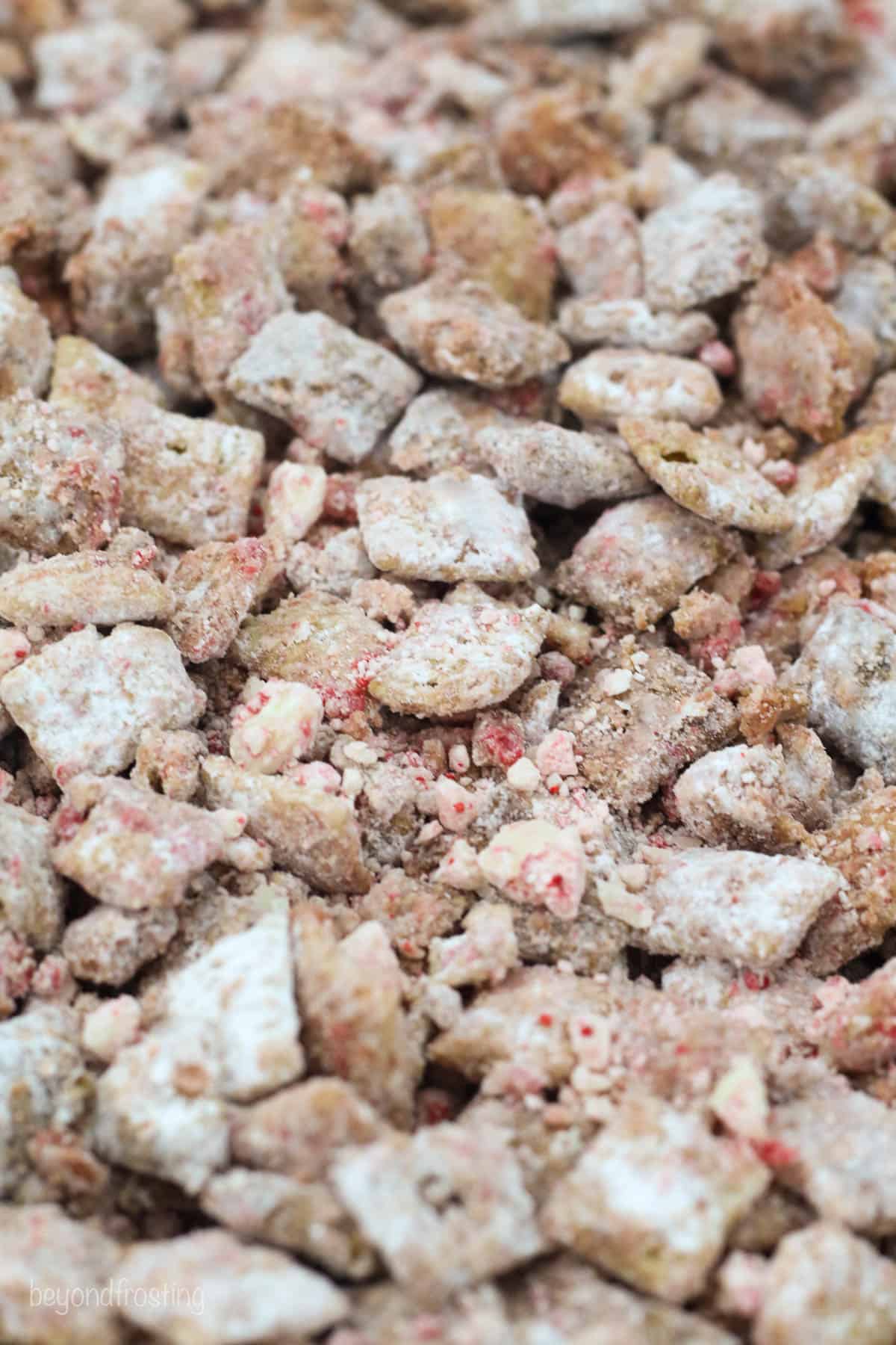 closeup of puppy chow spread out