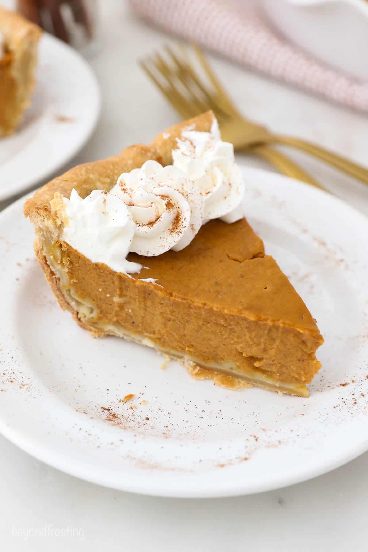 A slice of Pumpkin Pie with Homemade Whipped Cream.