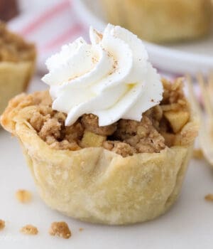A small apple pie with whipped dream topping