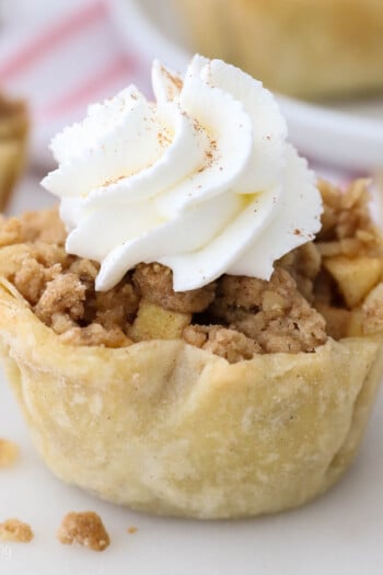 A small apple pie with whipped dream topping