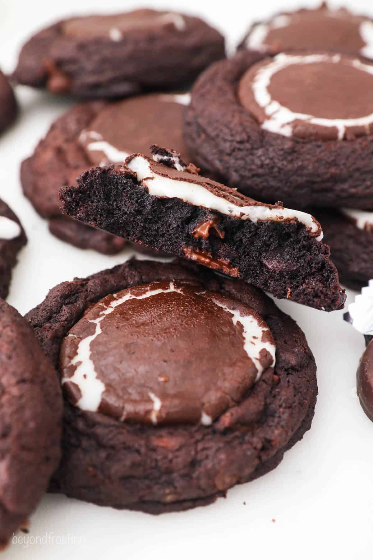 closeup of chocolate cookies