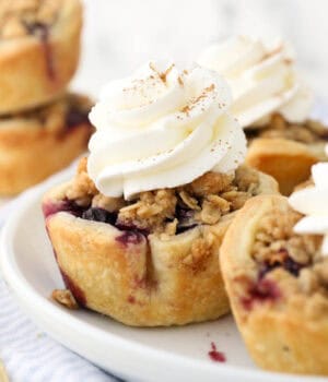 a close up of a small blueberry pie with whipped cream on a white rimmed plate