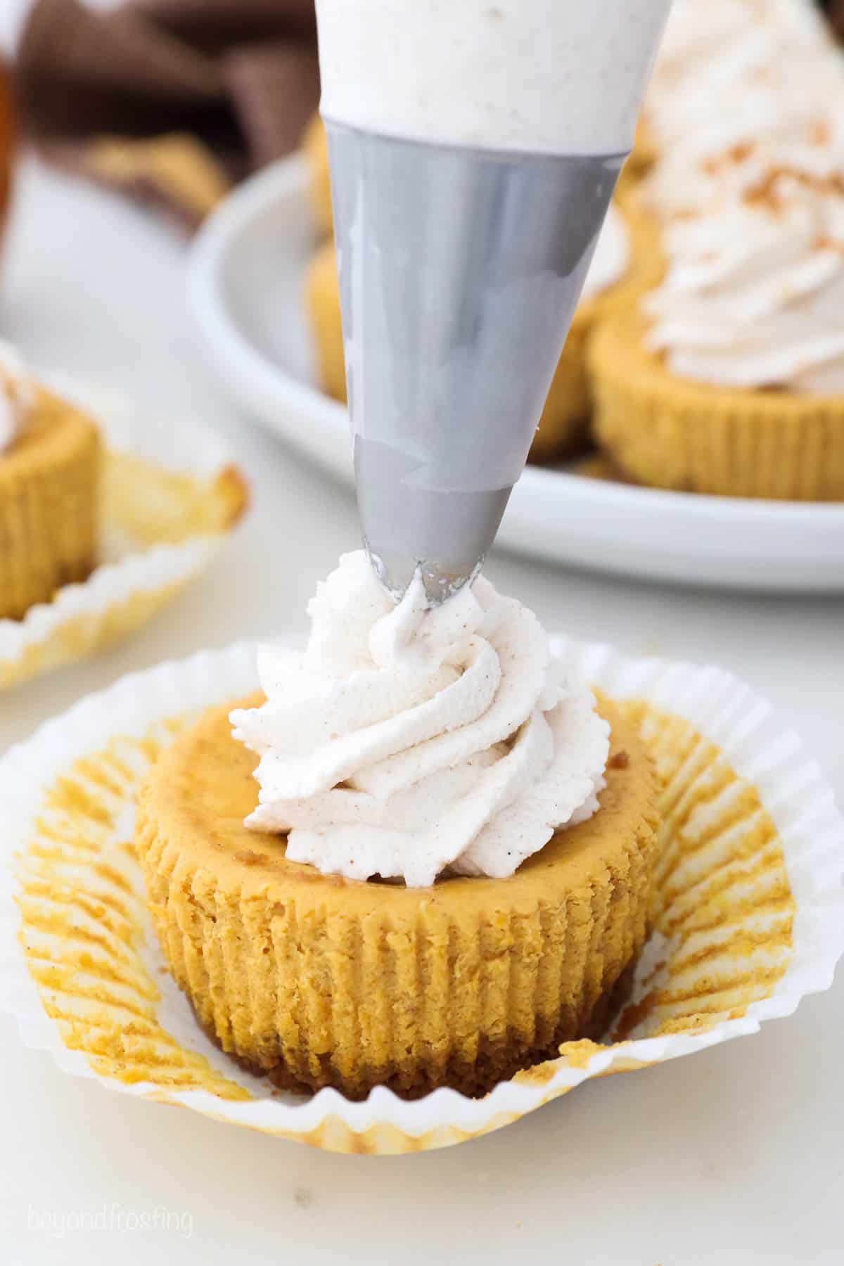 Piping bag adding whipped cream to the top of a mini cheesecake