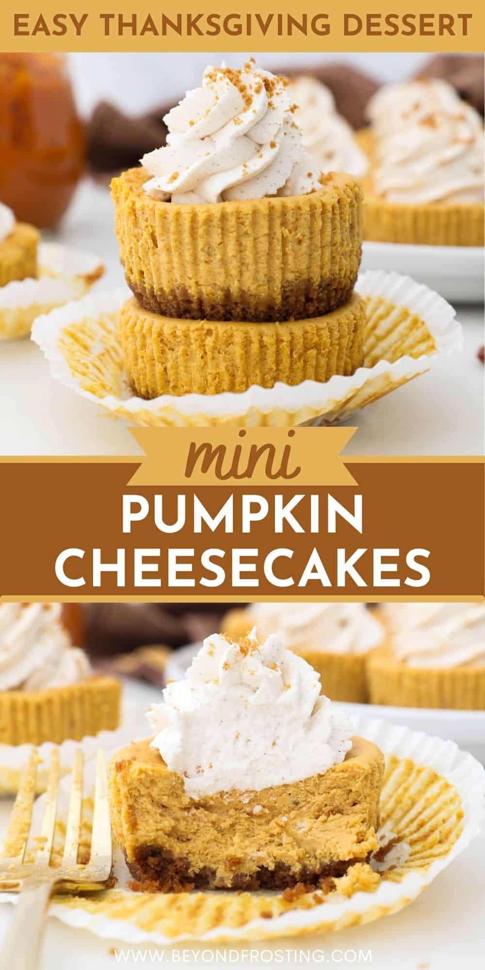 Mini Pumpkin Cheesecakes Beyond Frosting   Mini Pumkin Cheesecakes 