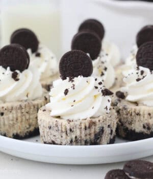 Seven Oreo cookie cheesecake bites on a serving platter with a mini Oreo cookie on top of each one