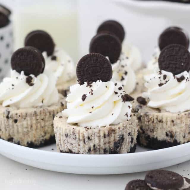 The Best Mini Oreo Cheesecakes | Beyond Frosting