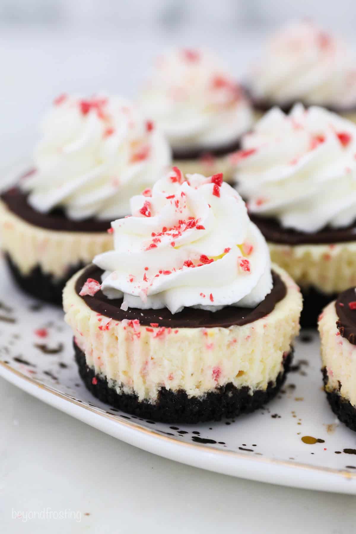 A close up of a mini peppermint bark cheesecake on a gold polka dot plate