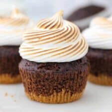 Fudgy Gluten-Free S'Mores Cupcakes Recipe