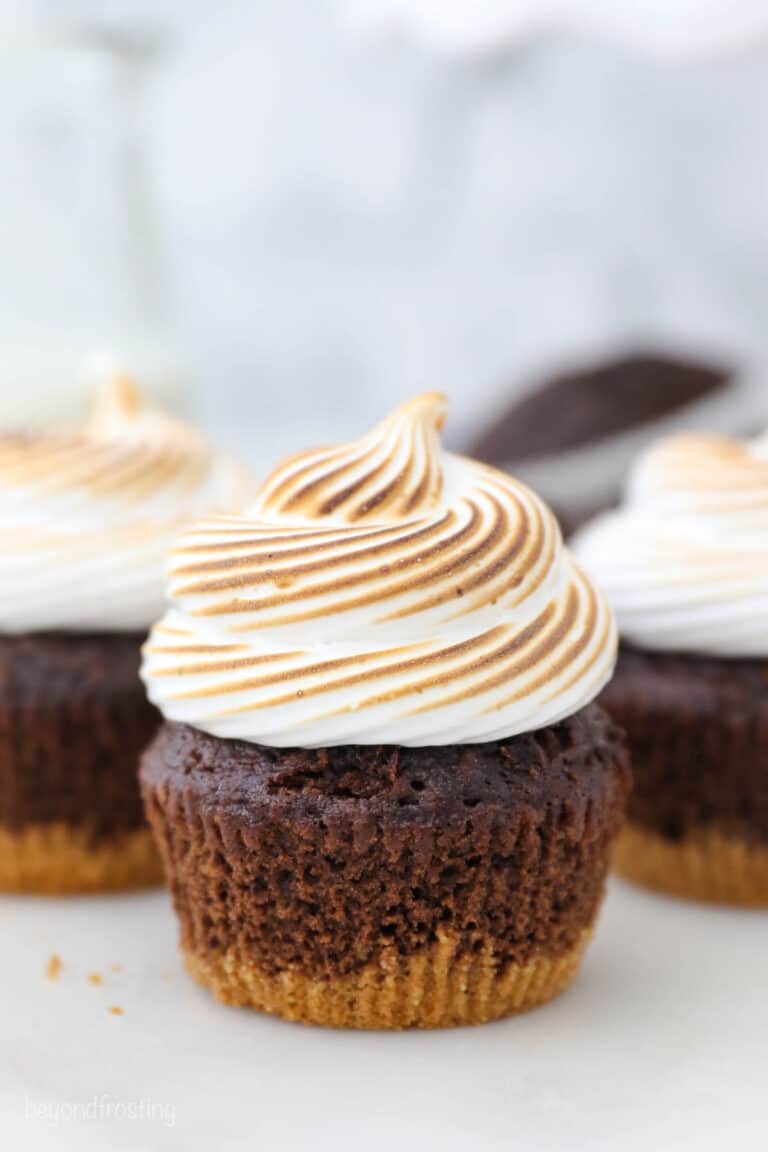 Close up of a frosted s'mores cupcake.