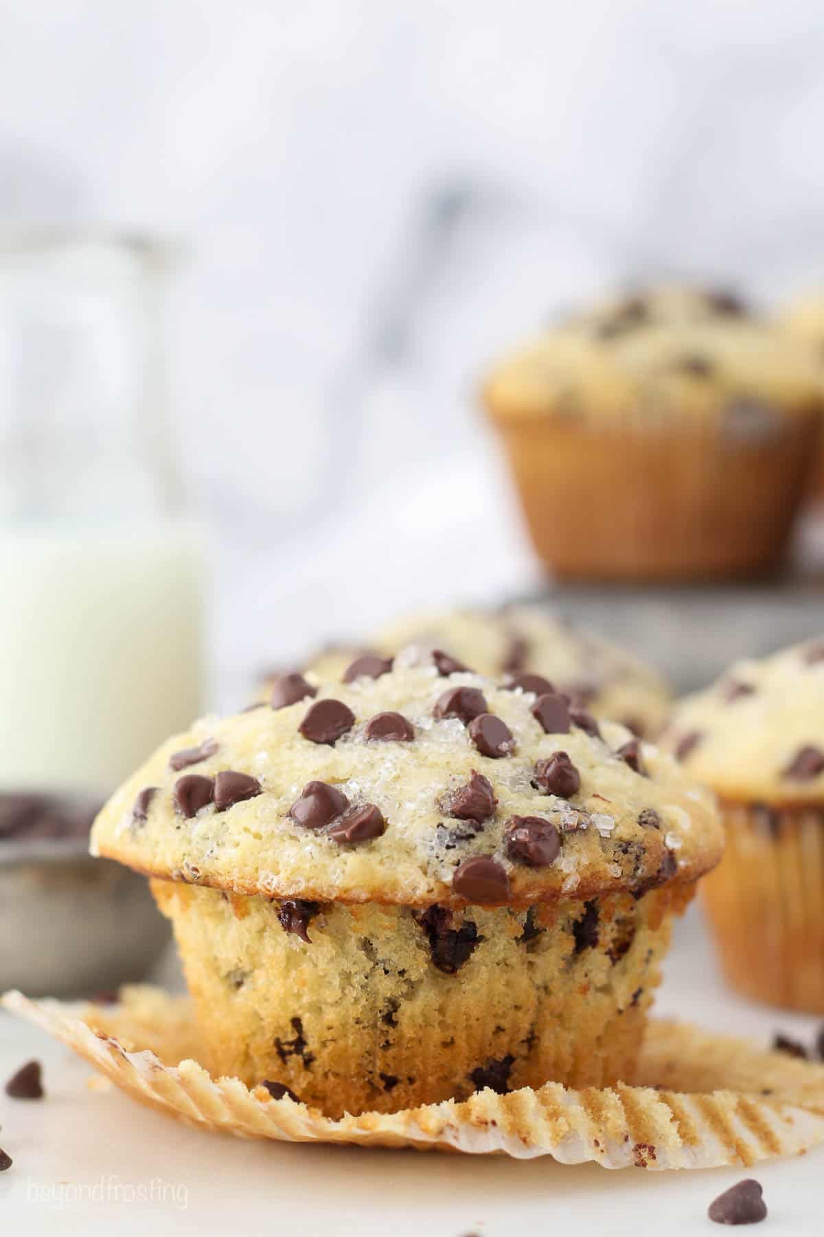 Front view of a chocolate chip muffin