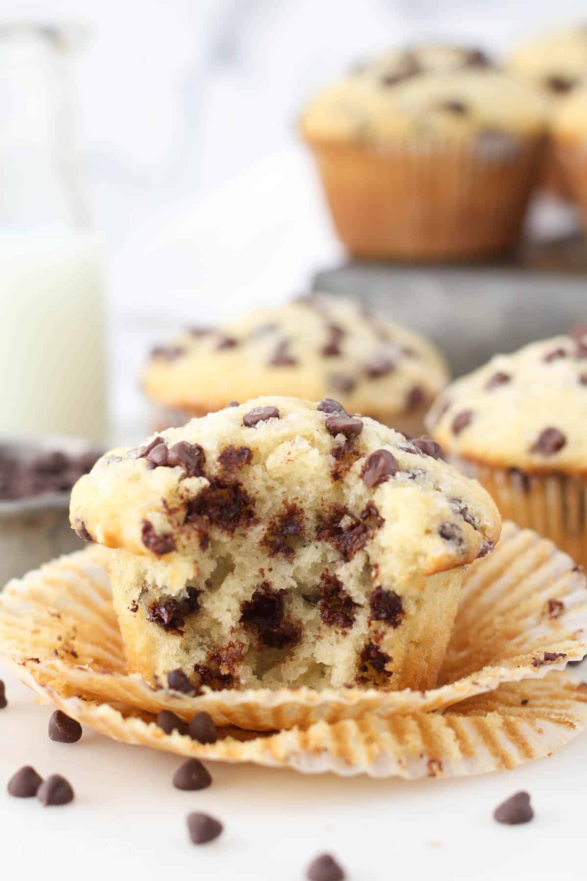 Front view of a chocolate chip muffin with a bite missing