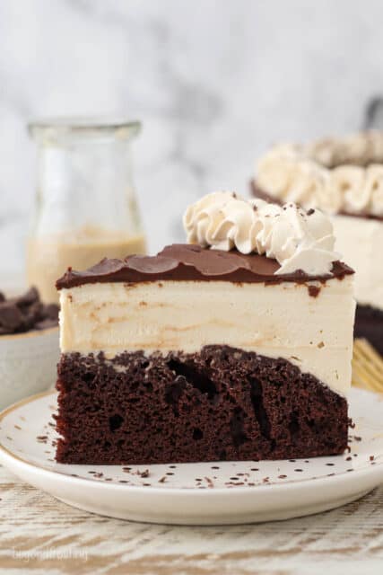 Homemade Bailey's Ice Cream Cake Recipe | Beyond Frosting