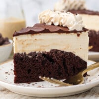 A close up of a slice of Bailey's Ice Cream Cake