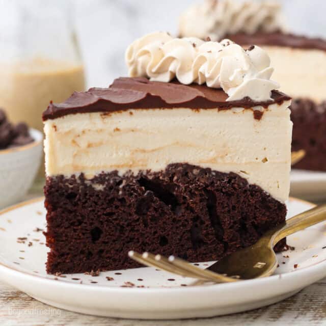 Homemade Bailey's Ice Cream Cake Recipe Beyond Frosting