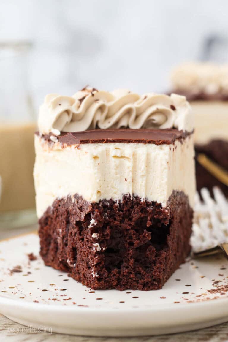 Homemade Bailey's Ice Cream Cake Recipe Beyond Frosting