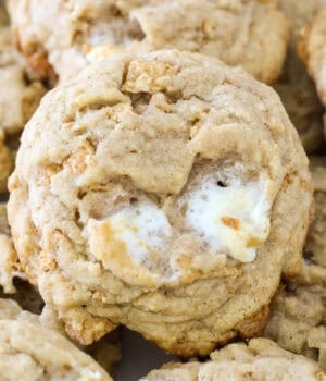 closeup of a pile of cinnamon toast crunch marshmallow cookies