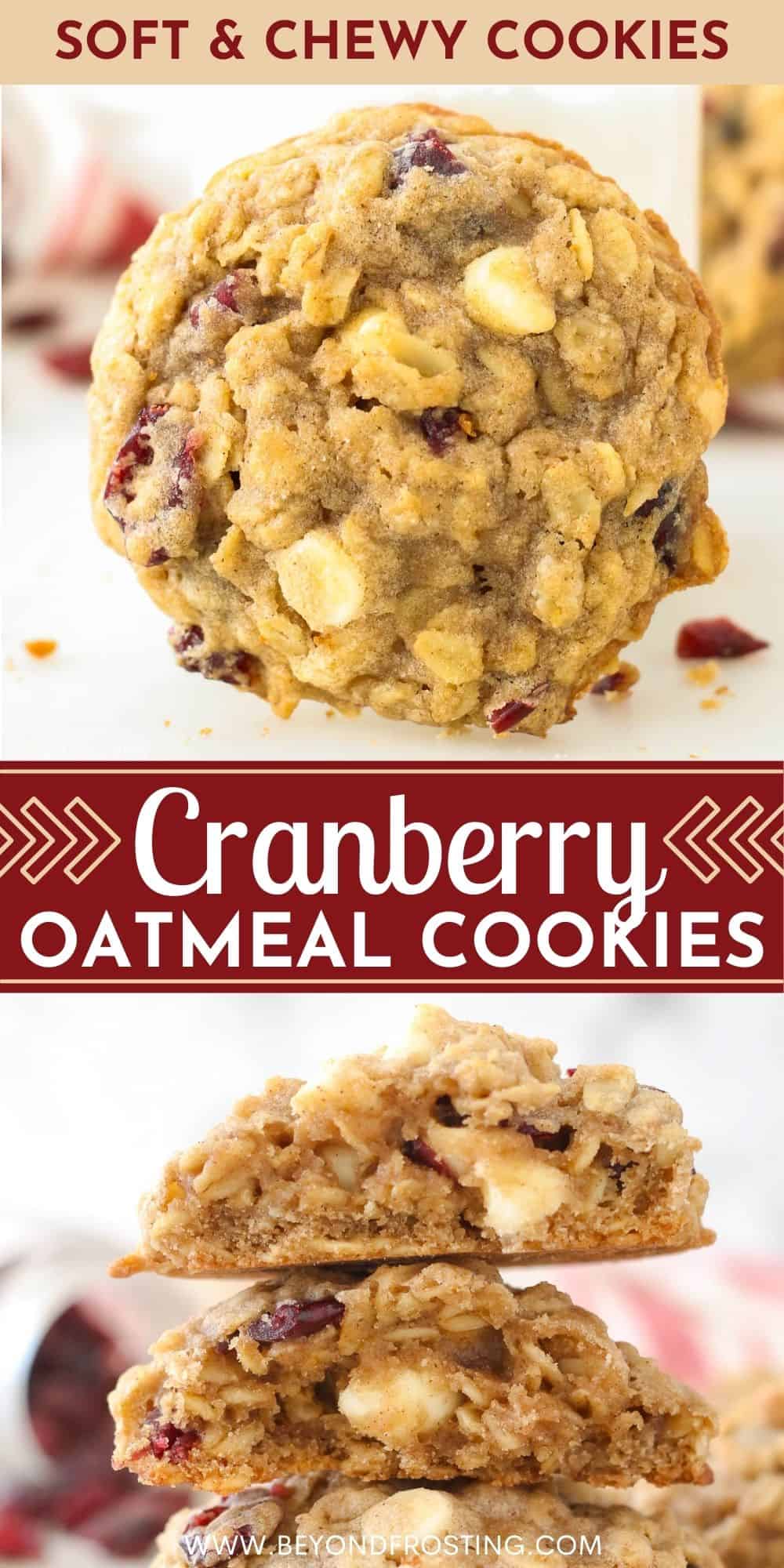 Soft & Chewy Oatmeal Cranberry Cookies l Beyond Frosting