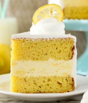 A plated slice of lemon ice cream cake garnished with a candid lemon slice