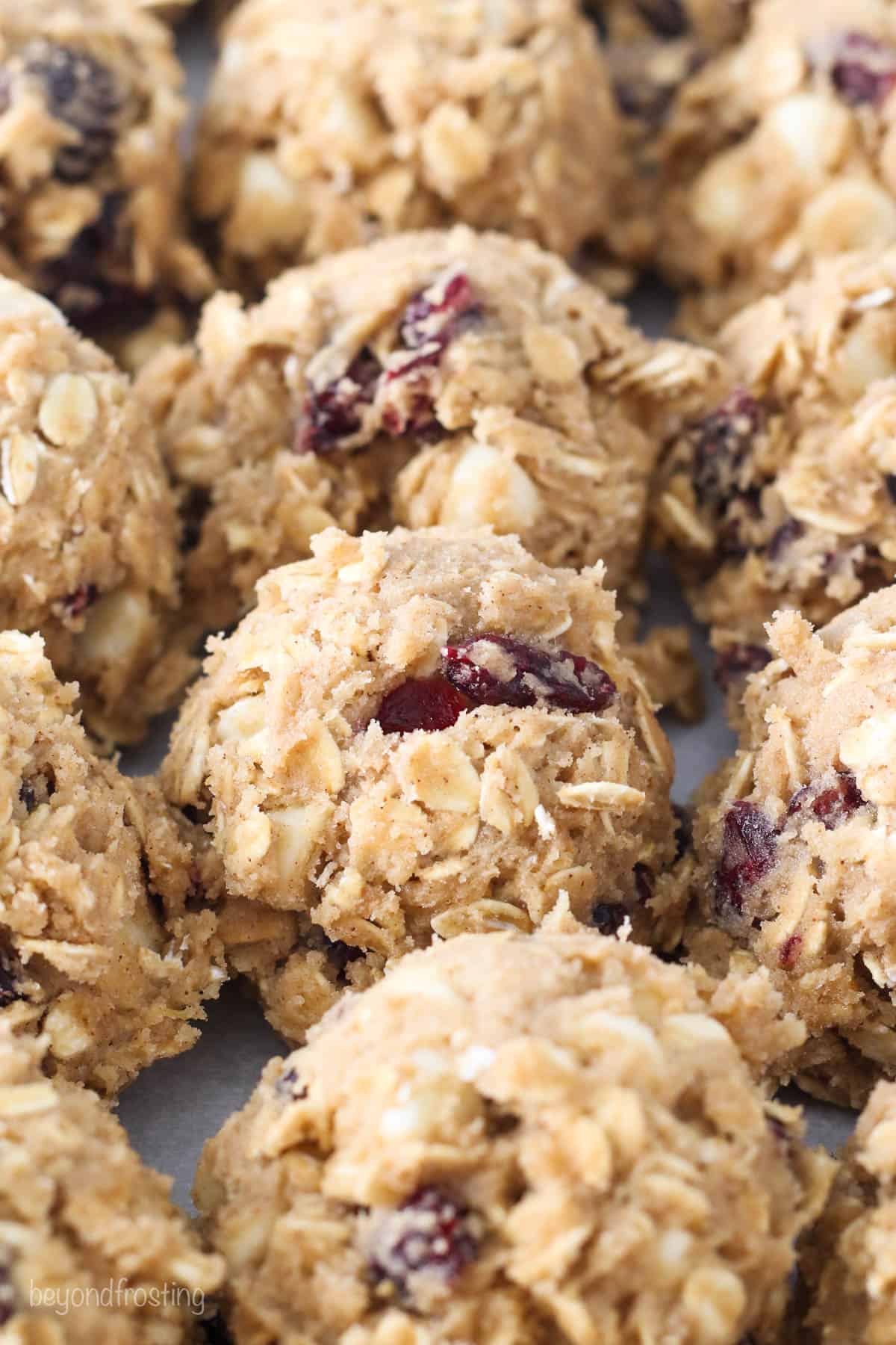 Soft &amp; Chewy Oatmeal Cranberry Cookies l Beyond Frosting