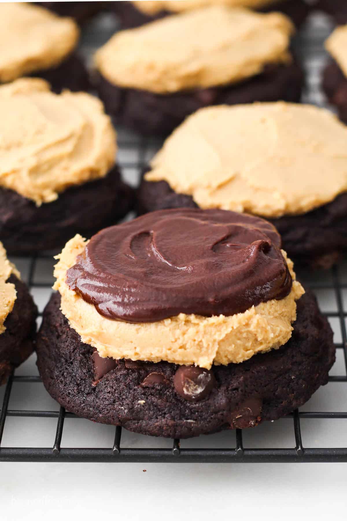 Chocolate cookies topped with a layer of peanut butter and chocolate ganache
