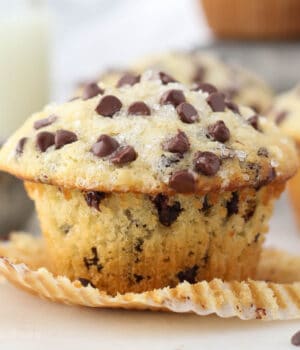 Close up of an unwrapped chocolate chip muffin