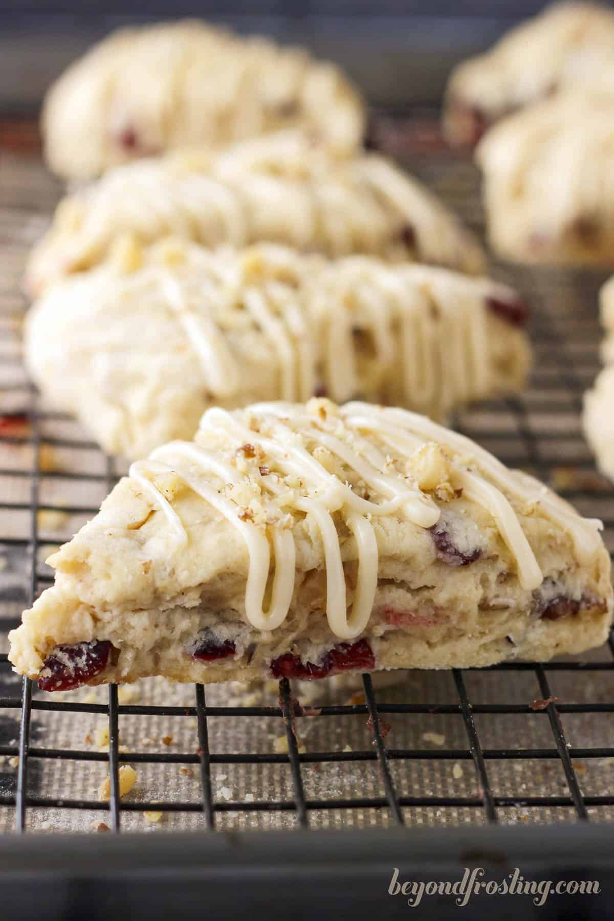 closeup of cranberry walnut scones lined on a cooling rack