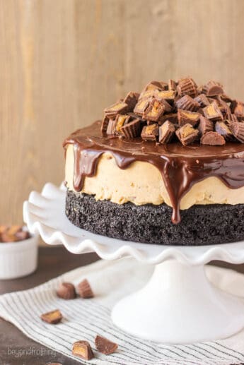 Homemade Peanut Butter Cup Ice Cream Cake | Beyond Frosting