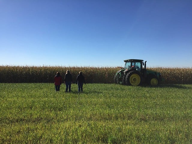 Three people and a tractor in front of a corn field