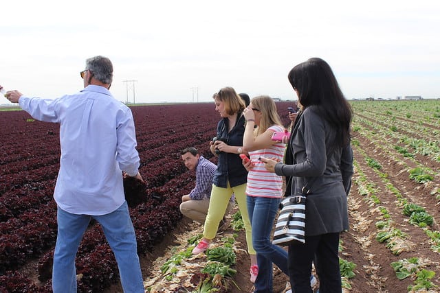 A group taking a farm tour in a field with rows of produce