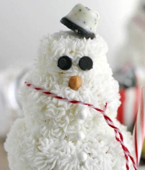 closeup of a cupcake snowman