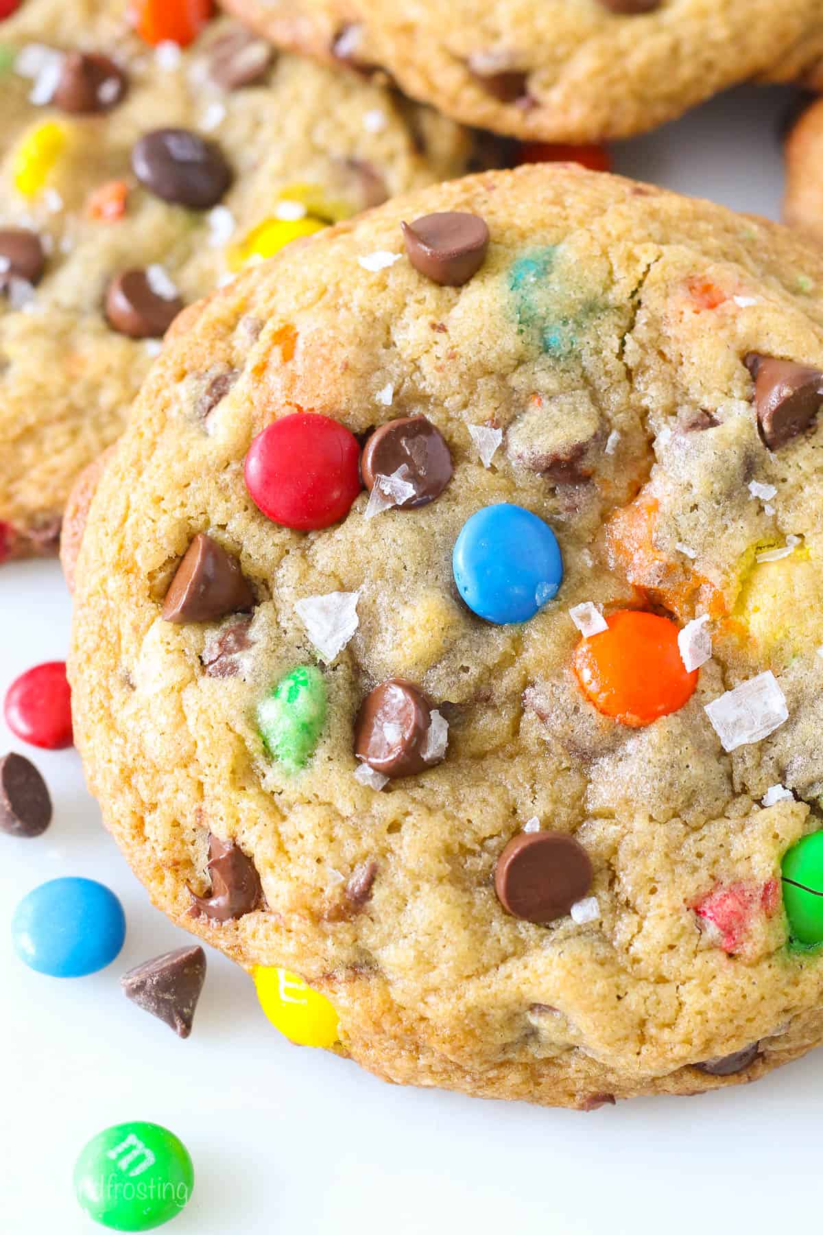 Close up of a giant M&m cookie with chocolate chips