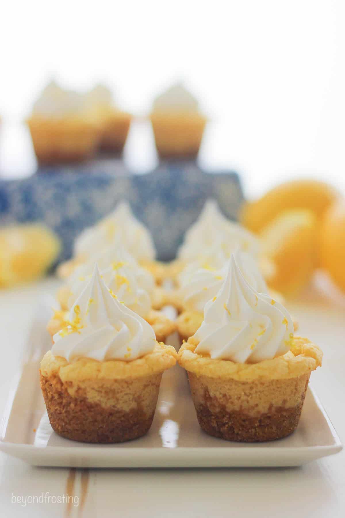 side view of lemon cookie cups lined in two columns on a white plate